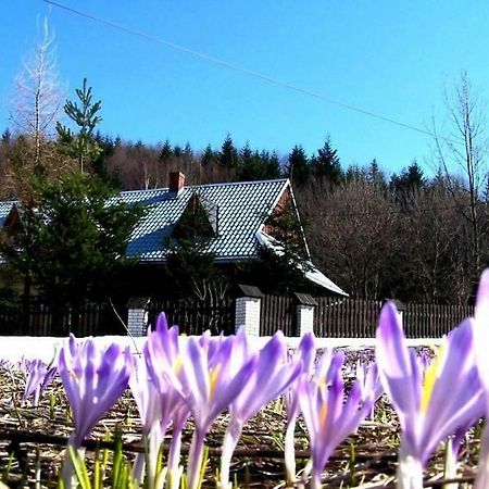 Goralska Czarcia Chata Pod Jalowcem Stryszawa Bagian luar foto