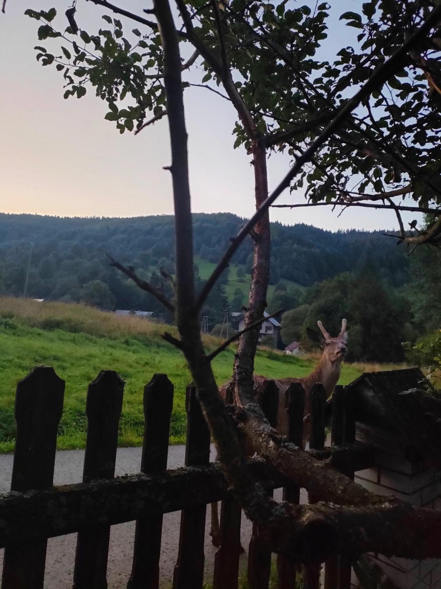 Goralska Czarcia Chata Pod Jalowcem Stryszawa Bagian luar foto